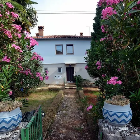 Deluxe Park Guest house